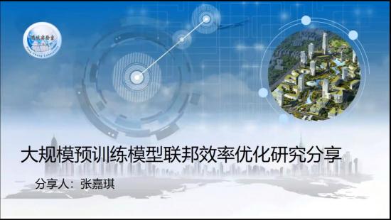大规模预训练模型联邦效率优化